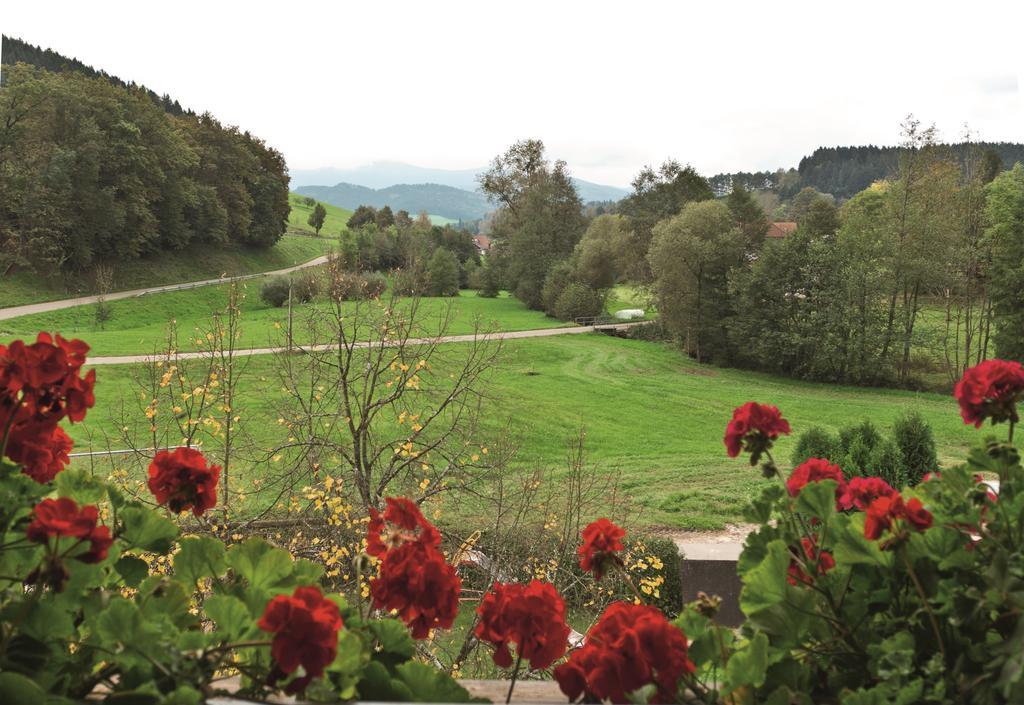 Landgasthof Adler Pelzmuehle Biederbach Baden-Württemberg Camera foto